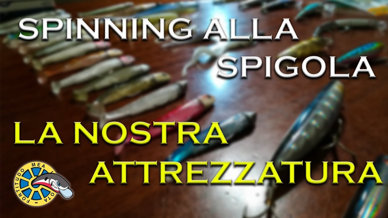 ATTREZZATURA PER LO SPINNING ALLA SPIGOLA!! TUTTO QUELLO CHE CI SERVE!
