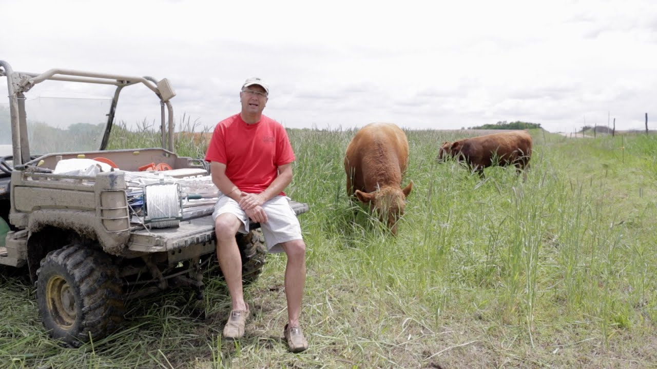 Cover Crop Case Study - Episode 4: Profitability and Flexibility