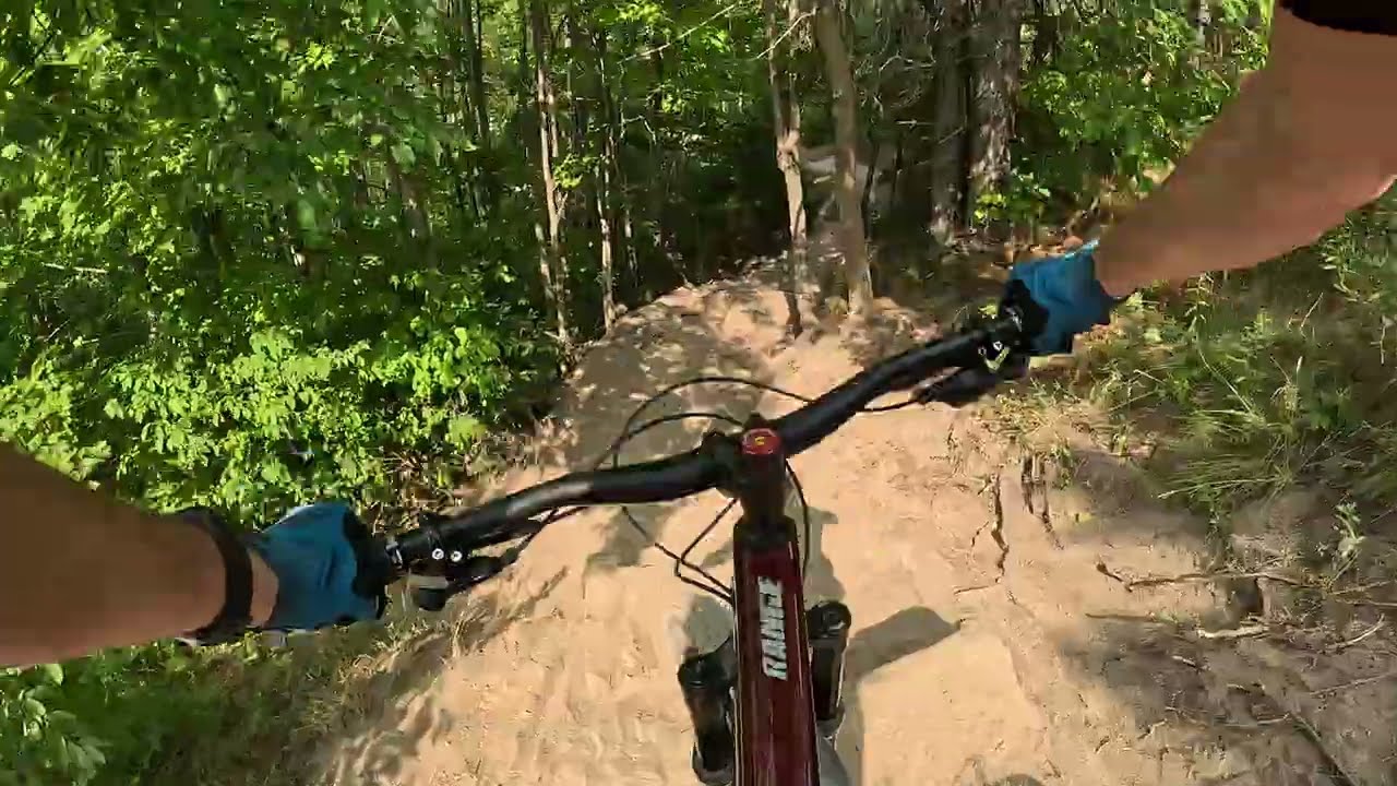 shake and brake