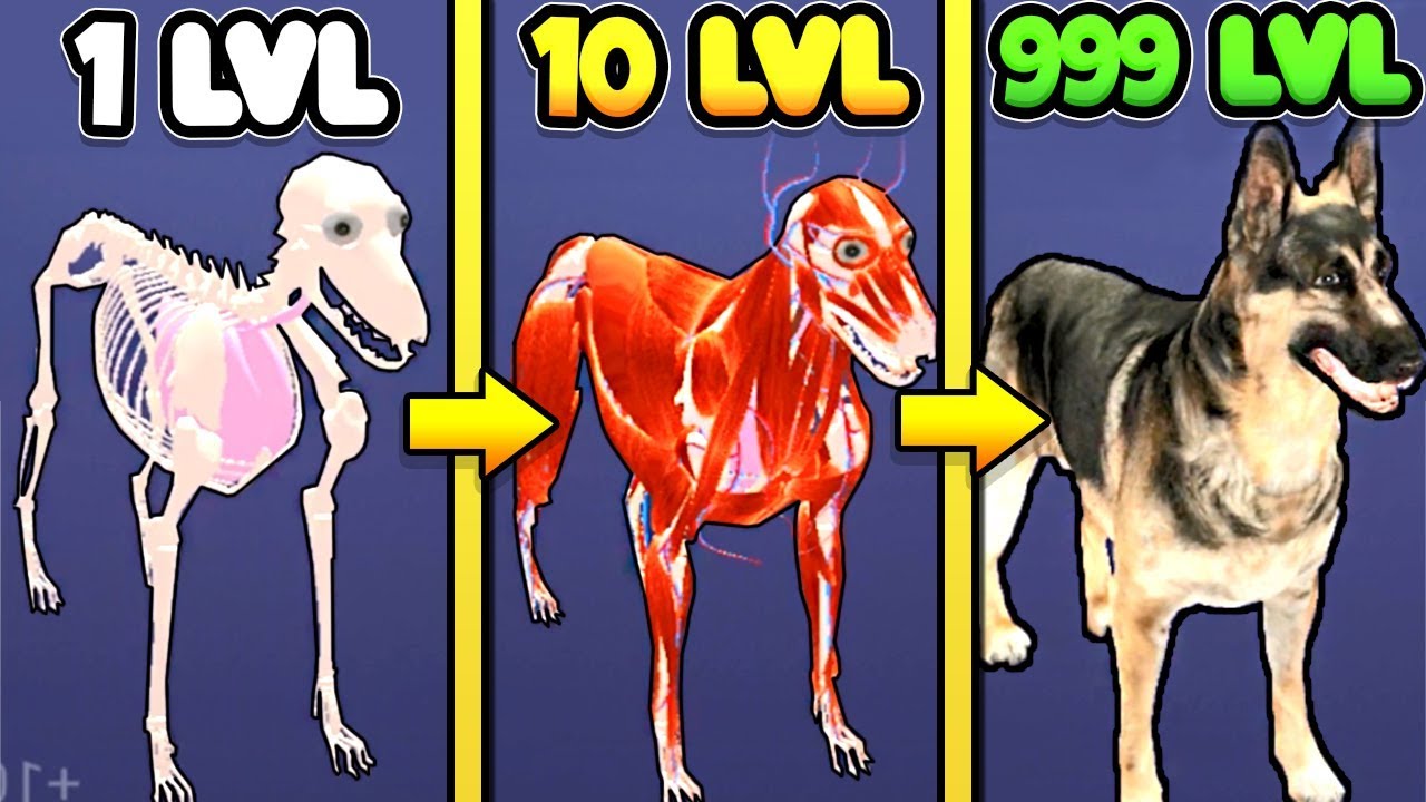 ЭВОЛЮЦИЯ ЖИВОТНОГО ЧТОБЫ ПО КУСОЧКУ СОБРАТЬ СВОЁ ЖИВОТНОЕ В ИГРЕ IDLE PET!