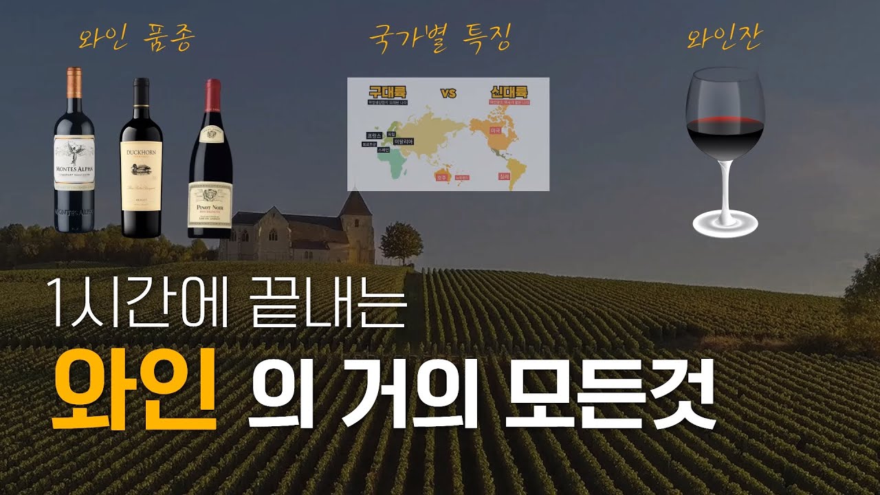 1시간에 끝내는 와인의 거의 모든것 (포도품종, 국가별 특징, 와인잔)