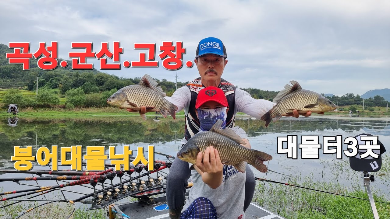 곡성.군산.고창.대물터3곳 붕어대물낚시fishing