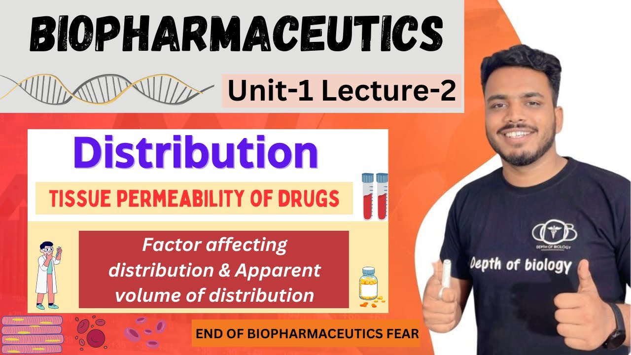 Distribution | Tissue permeability of drugs | binding of drug | apparent volume of drug distribution