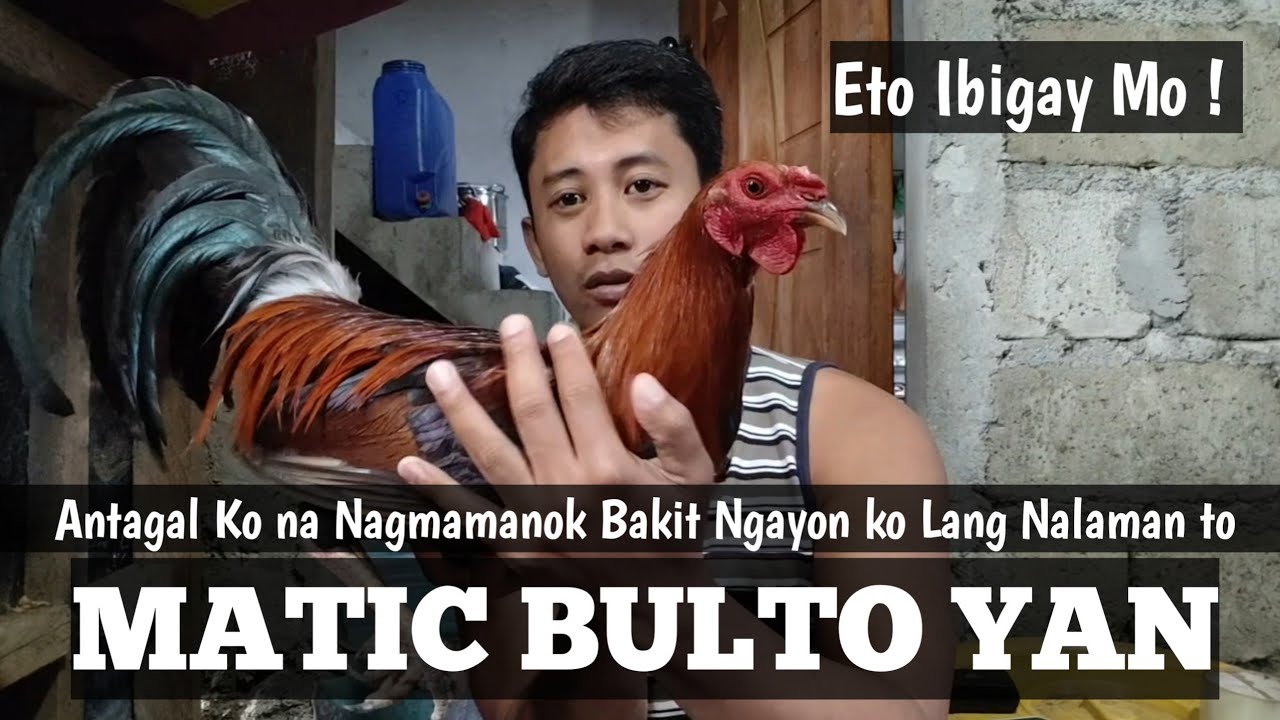 Eto Lang Pala Ang Magpapabulto sa mga Manok Ko | Lagi Mo To Nakikita | Linyada ng Mamay 