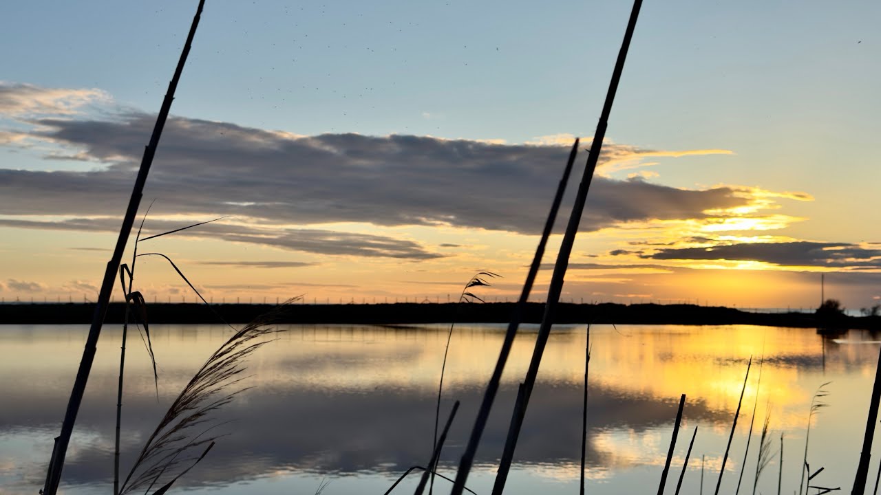 Tarquinia - Oasi Faunistica Le Saline