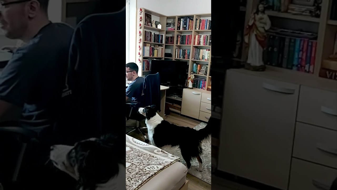 Elvis Presley feat. Leia - Separate Ways