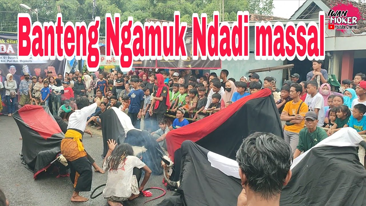 SERU BANGET BANTENGE NGUAMOK NDADI MASSAL MUDA SAKTI LIVE SOOGO BALONGMOJO