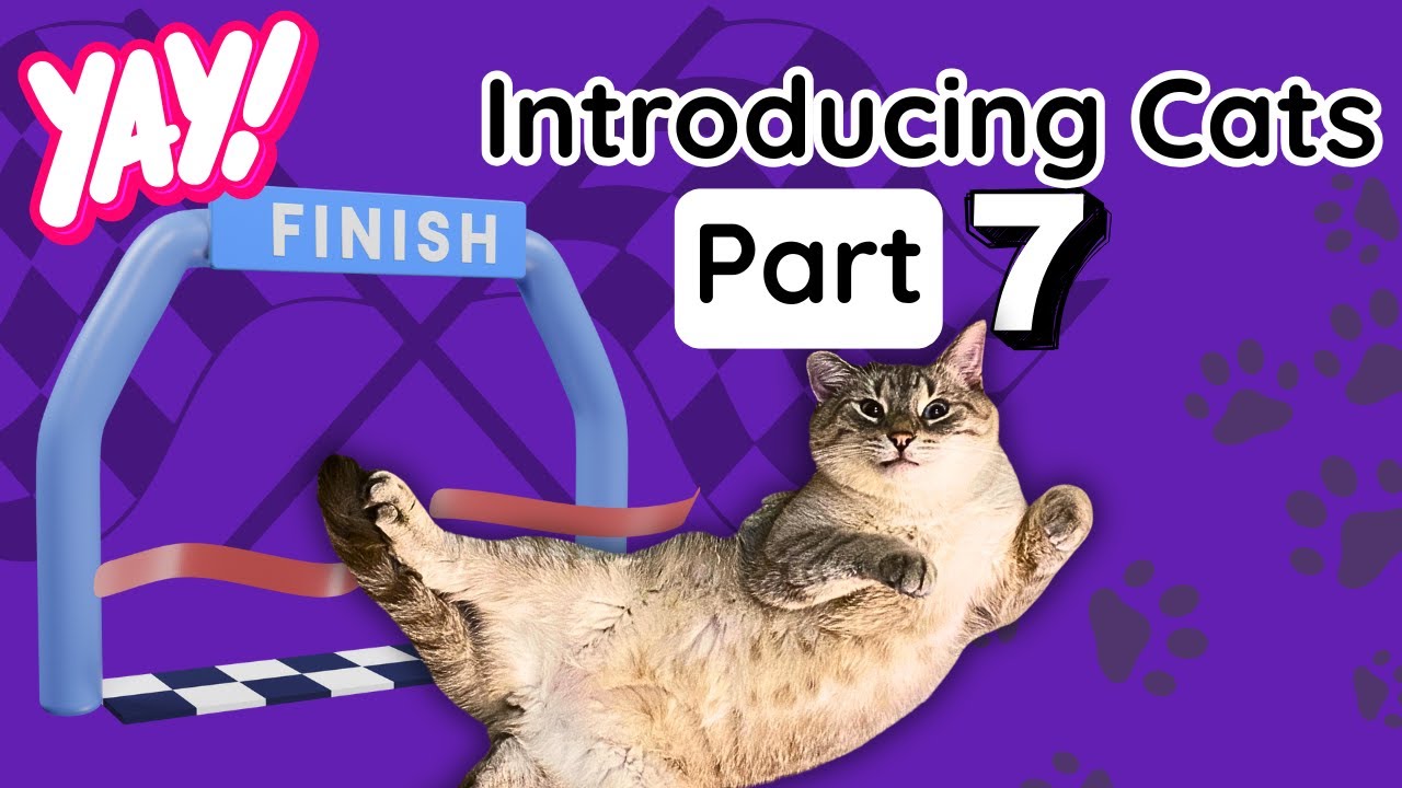 Introducing Cats Part 7: The Final Countdown! (Integration)