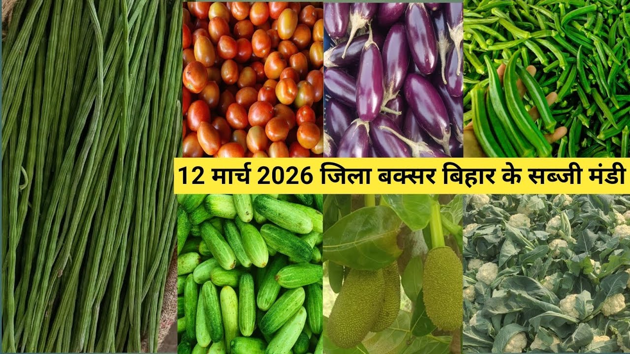 12 मार्च 2026 दिन बृहस्पतिवार जिला बक्सर बिहार के लोकल किसानी होलसेल सब्जी मंडी आज का ताजा भाव 