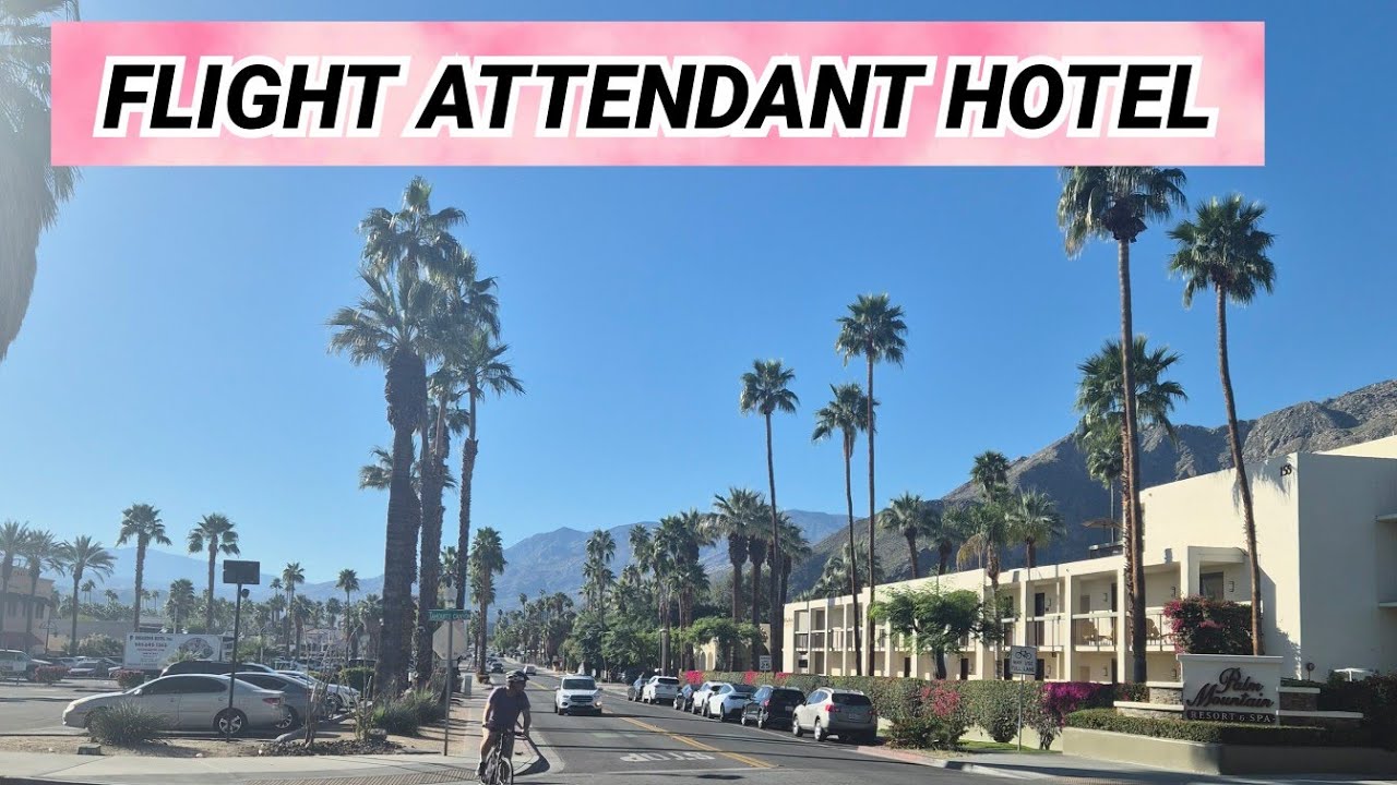 Flight Attendant Hotel Life | Crew Layover Vlog ✈️Option