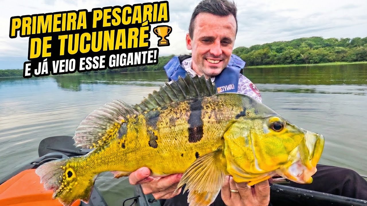 TUCUNARÉ GIGANTE logo na Minha 1ª Pescaria!