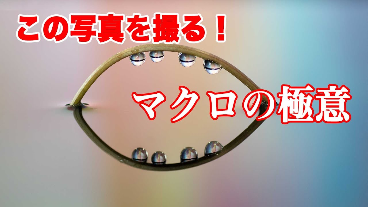 【外出自粛期間特別企画！】マクロレンズを使って水滴撮影をしよう！【日本語字幕修正済】 Macro photorgary