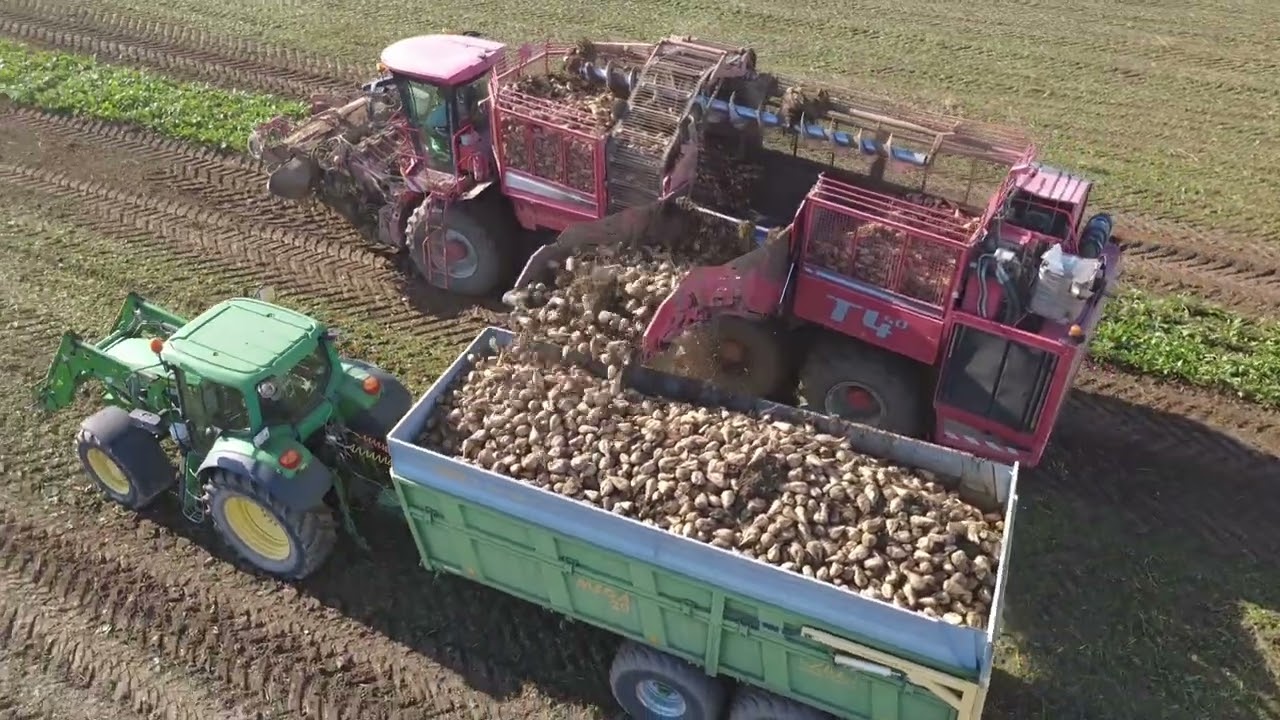 Repná Kampaň 2025 | Holmer TerraDos T4.40 | John Deere 6920S | BP Farm Združenie 