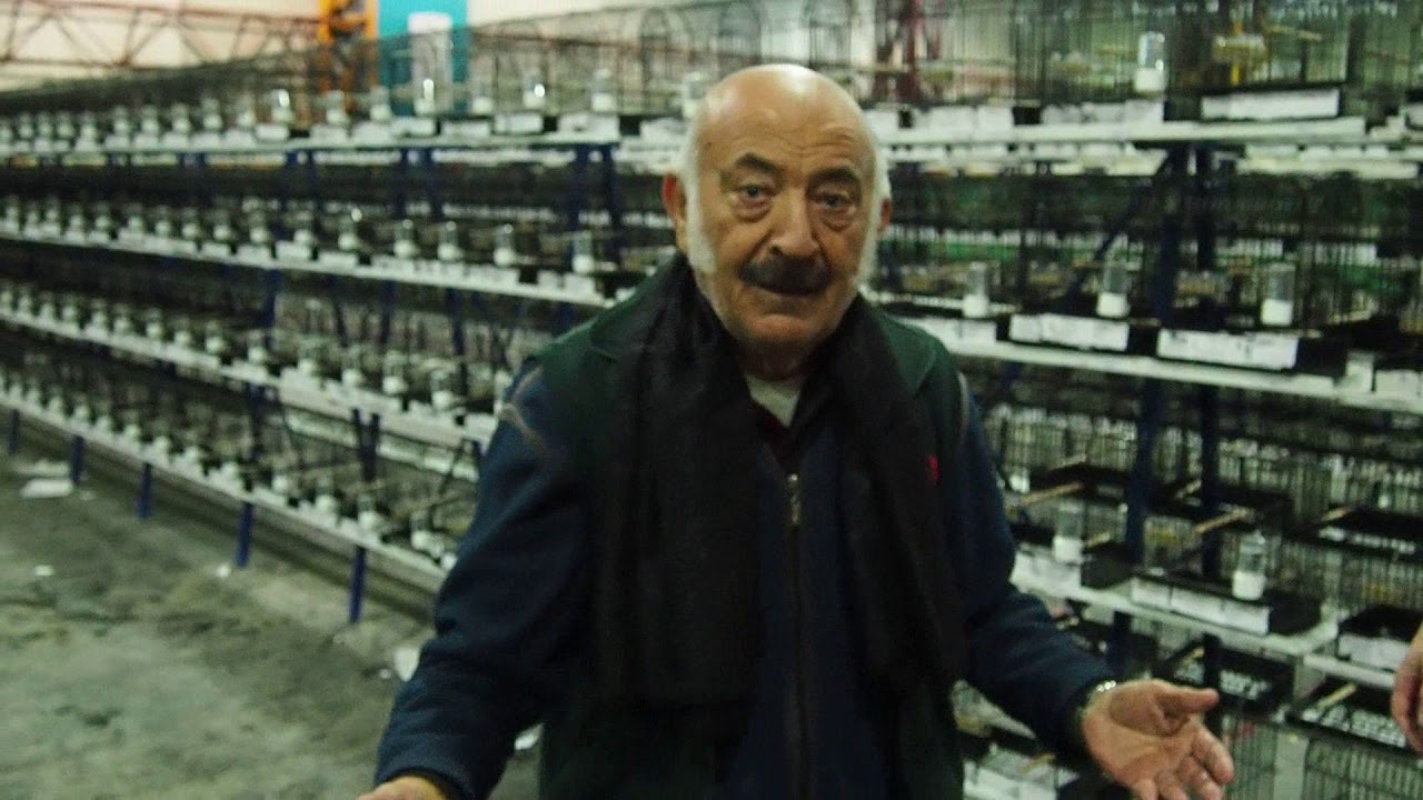 TKKKF 2019 T&uuml;rkiye Finali Kocaeli