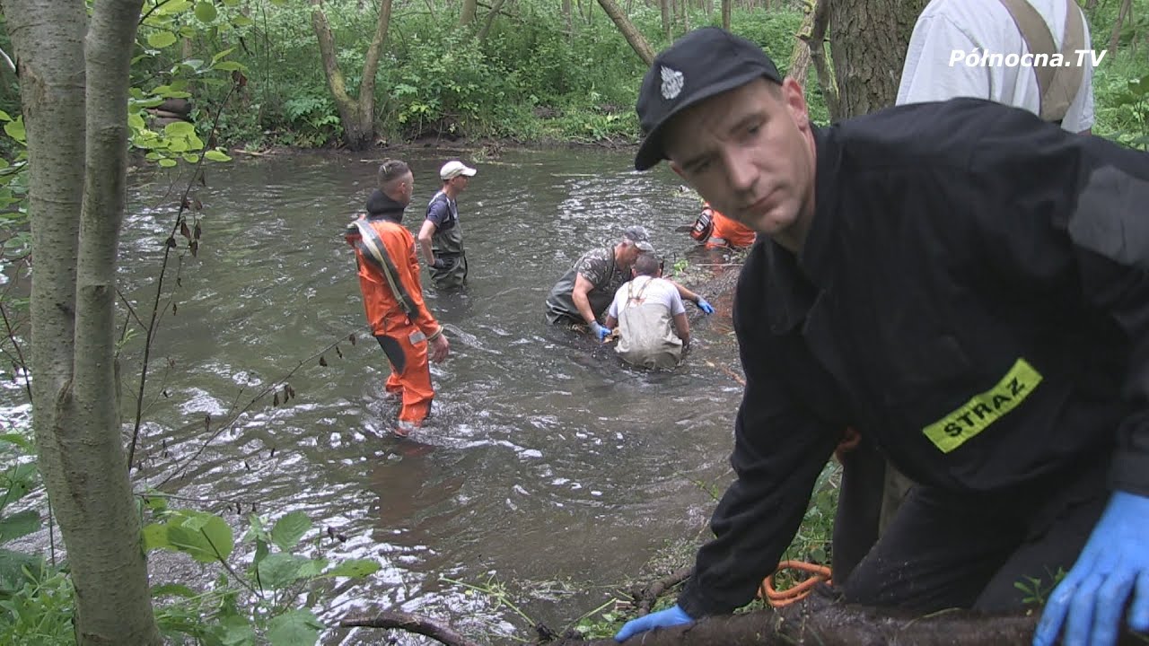 Wielkie sprzątanie rzeki Wietcisy w Skarszewach [2020]