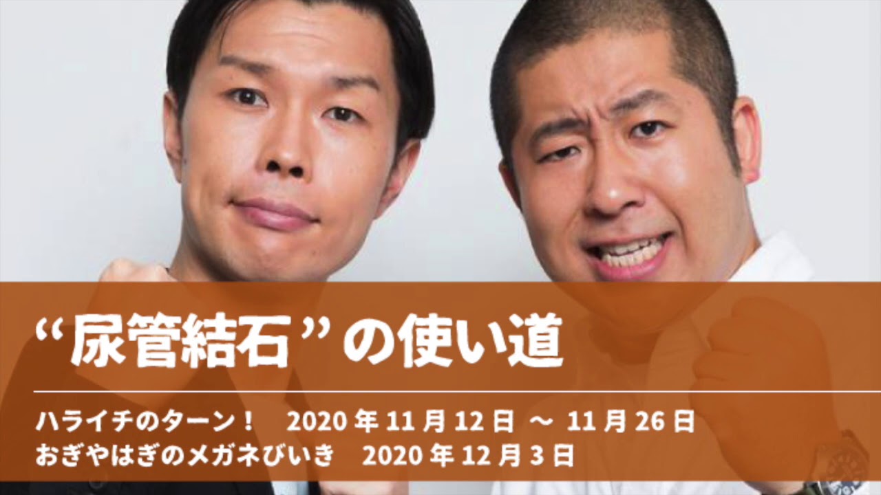 尿管結石の使い道【ハライチのターン！澤部トーク】2020年11月12日〜11月26日