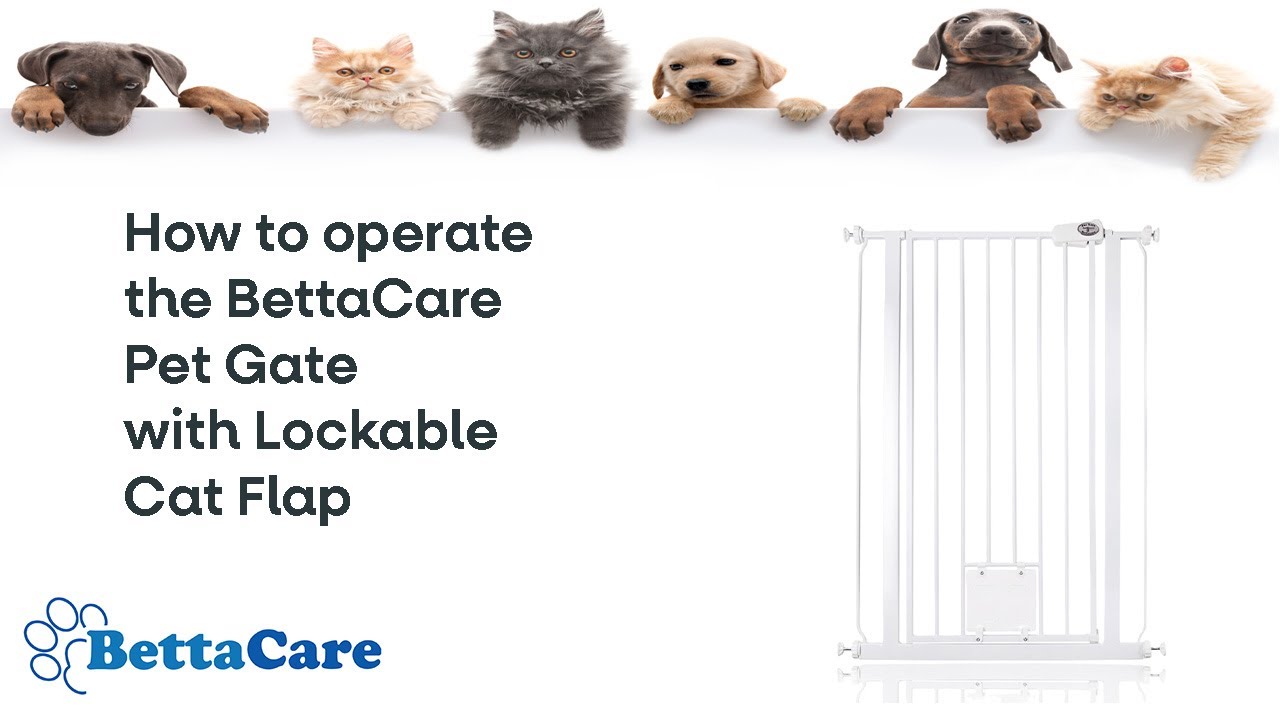 How to operate the Bettacare Pet Gate with Lockable Cat flap | Bettacare