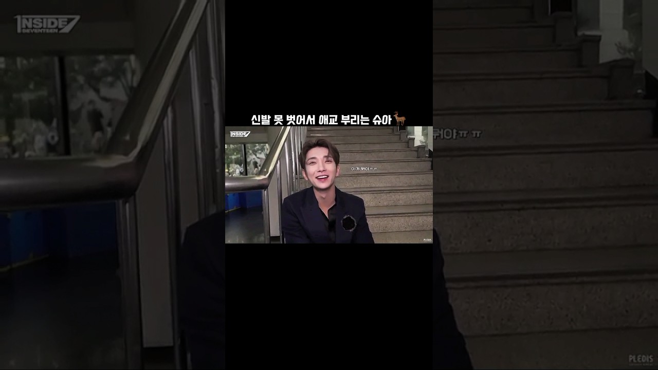 신발 못 벗어서 애교 부리는 슈아🦌 