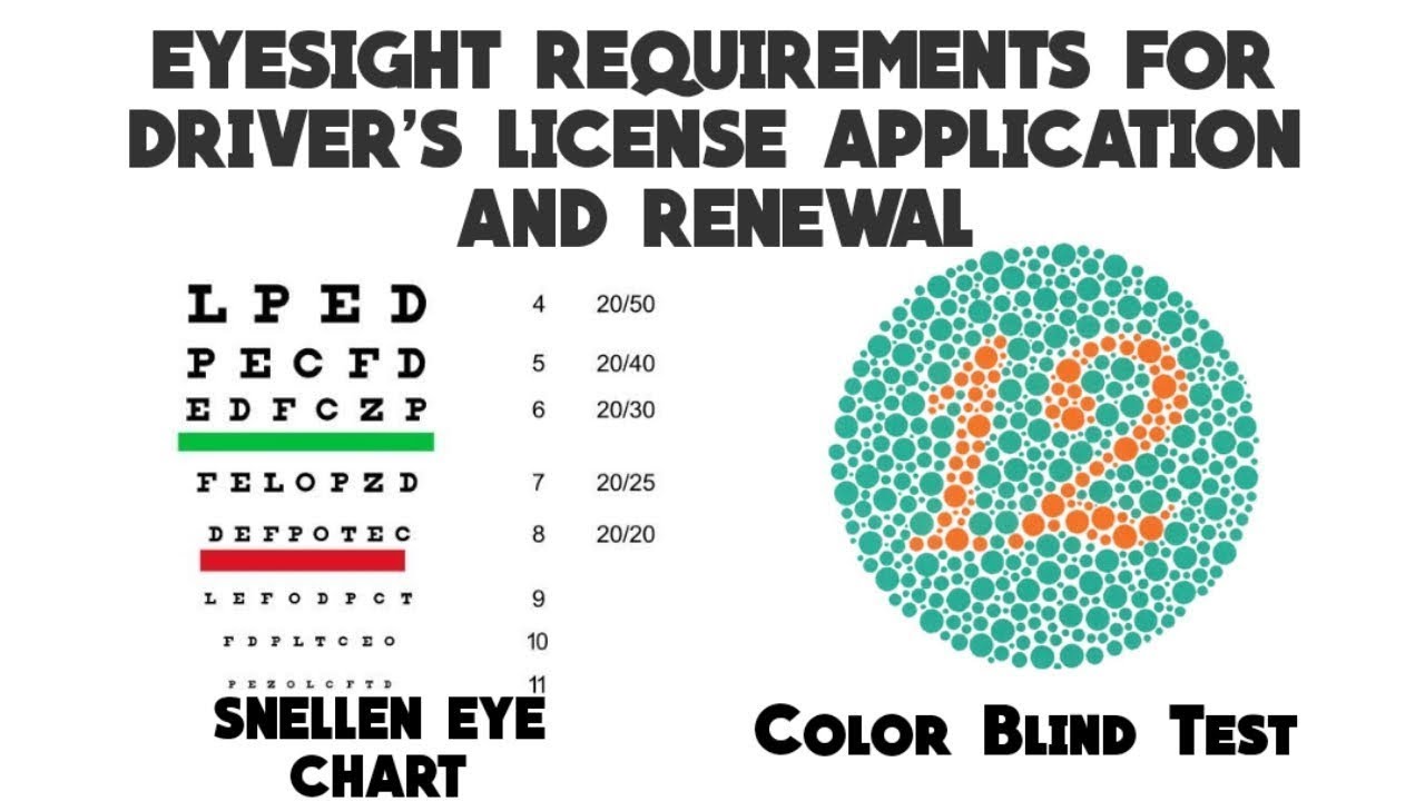 UAE Driving License Renewal Process 2025 | Eye Test in Umm Al Quwain & Dubai Explained 