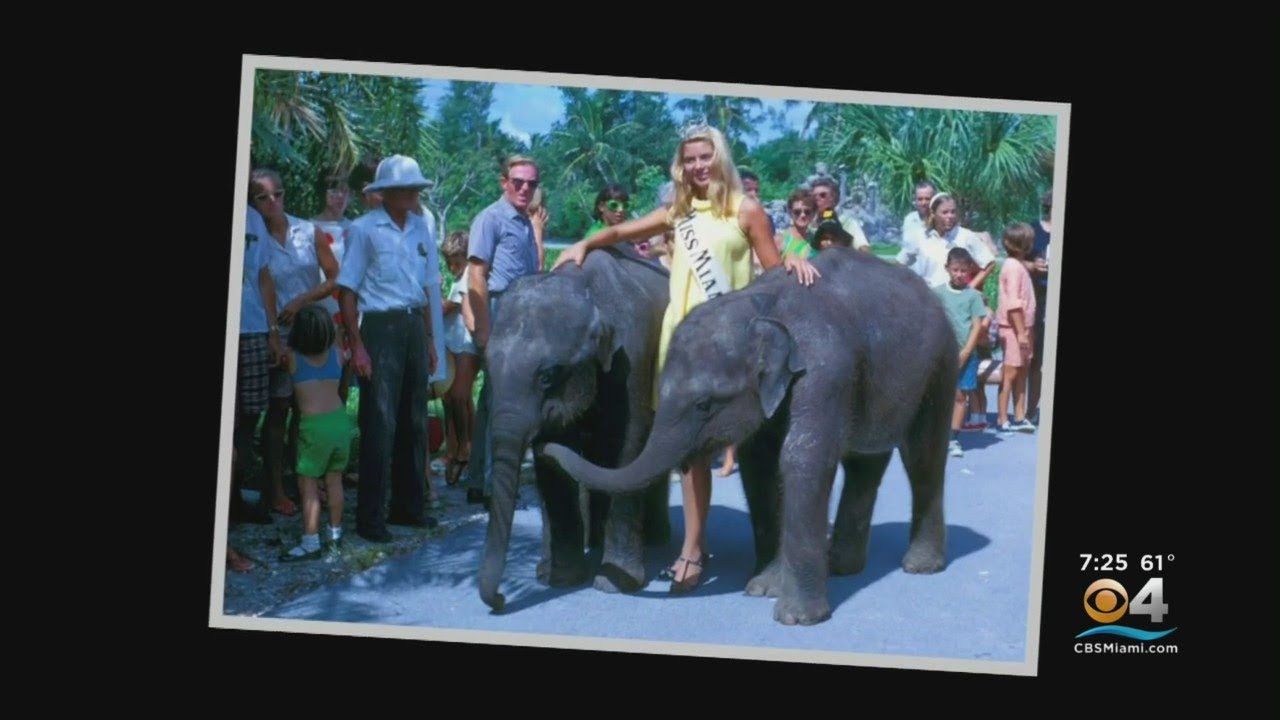 Before There Was Zoo Miami, There Was Crandon Park Zoo