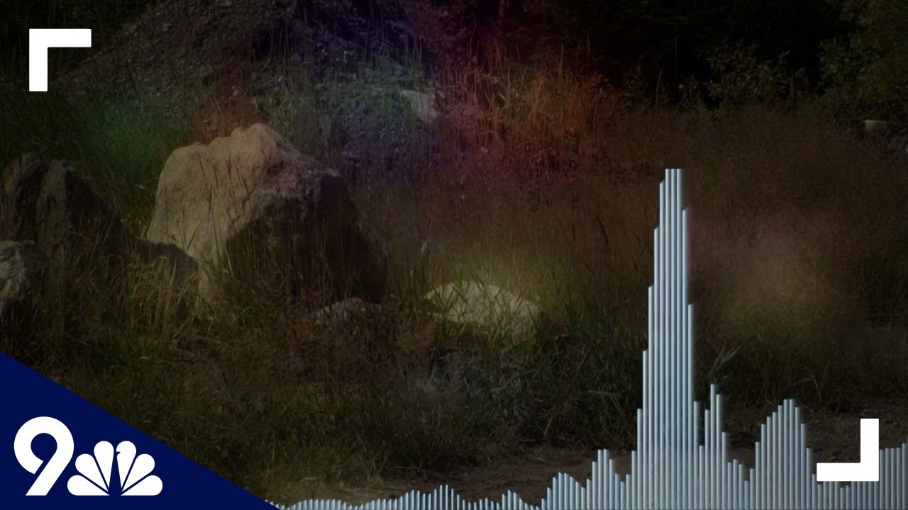 RAW: 911 call sheds light on mental state of man shot by deputy