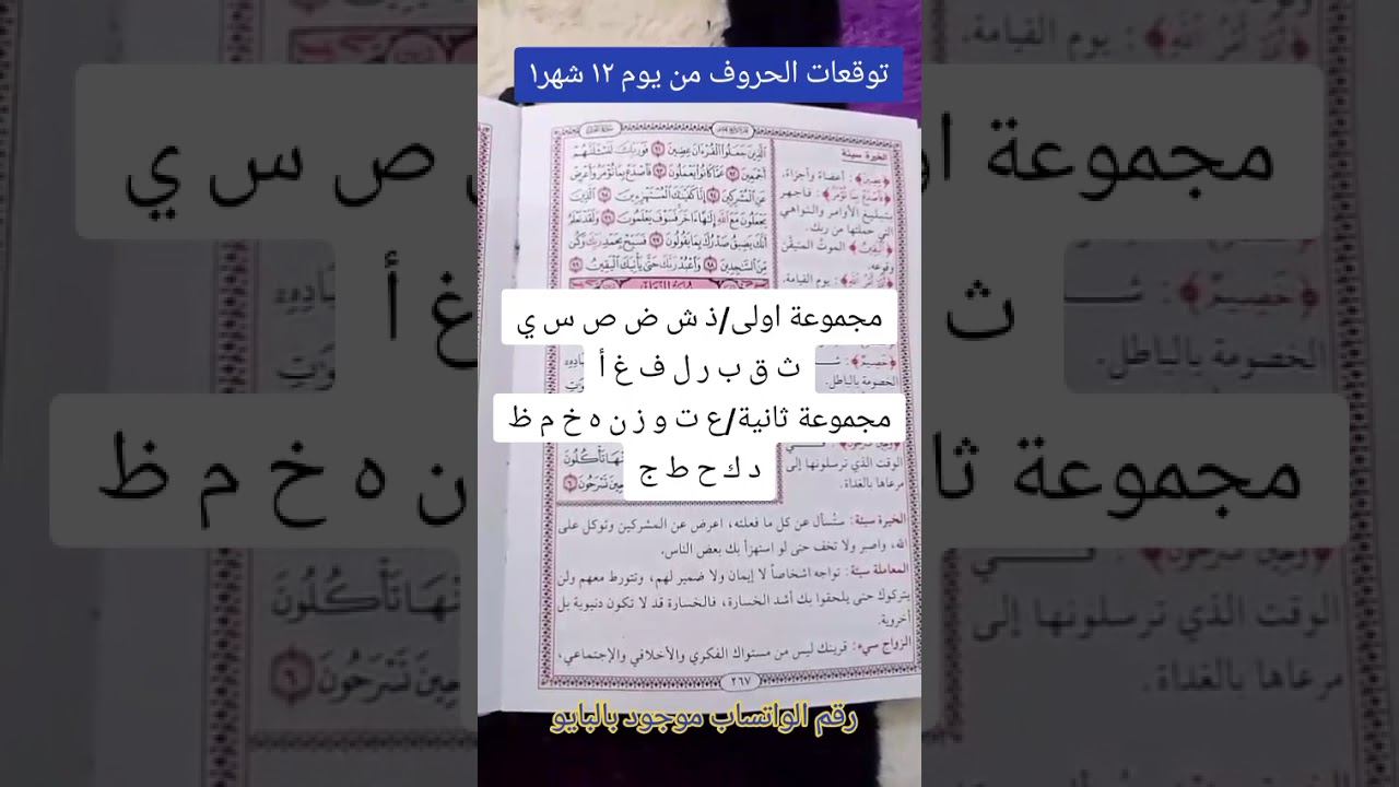 #خيرة شهر ال١ توقعات عامة تشمل العزاب المنفصلين المرتبطين المتزوجين المطلقين 