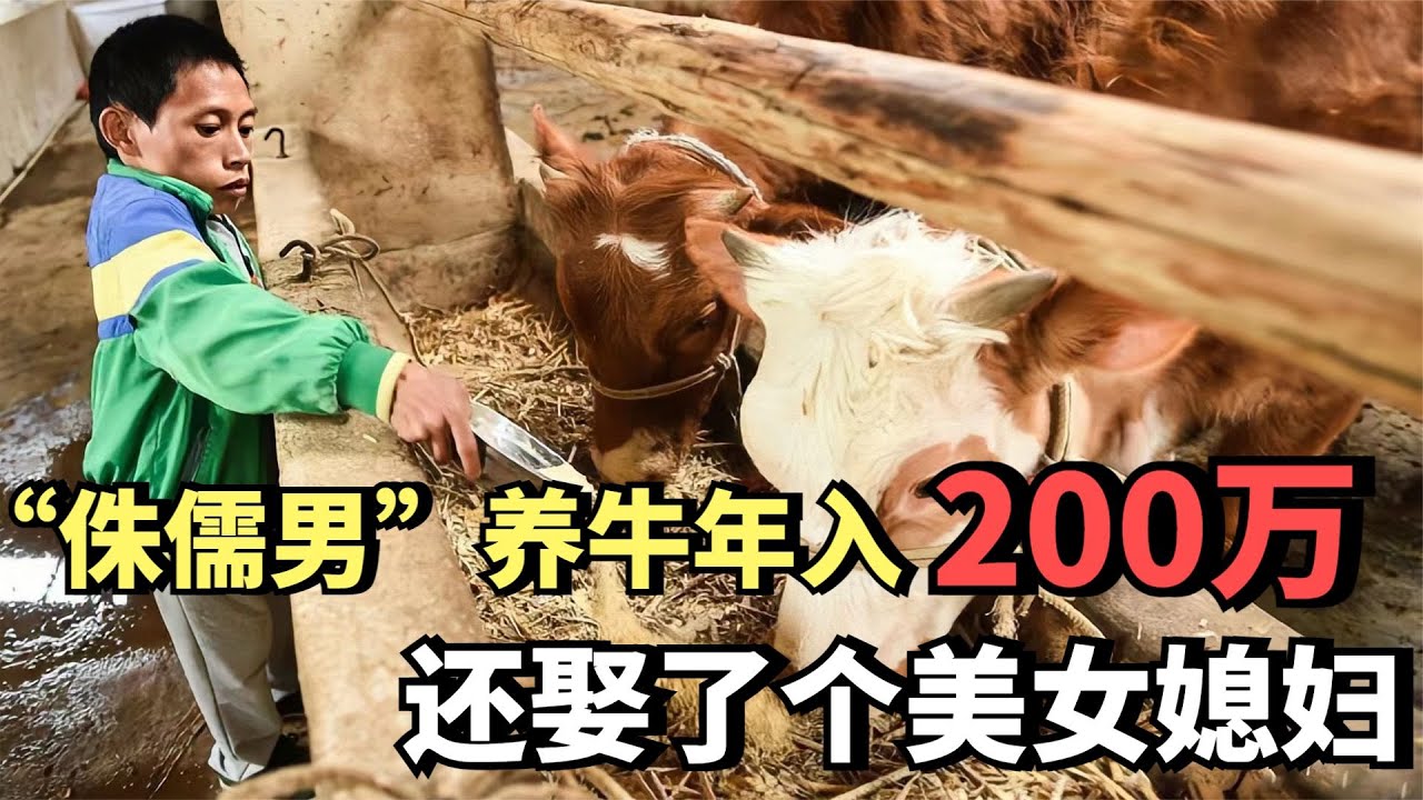 “侏儒男”养牛年入200万，还娶了个美女媳妇，他是如何做到的？