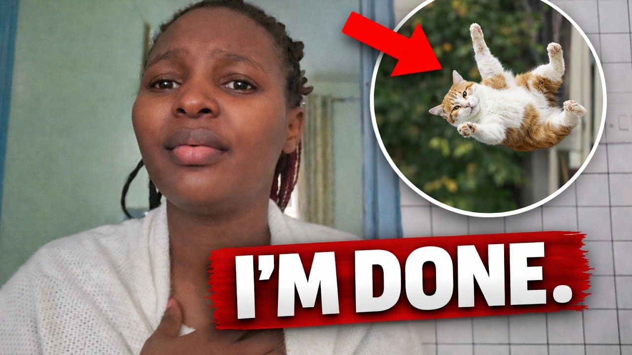 vlog8: Surviving the week|cat drama|cutting people off|fried chicken 🍗|sickDays 