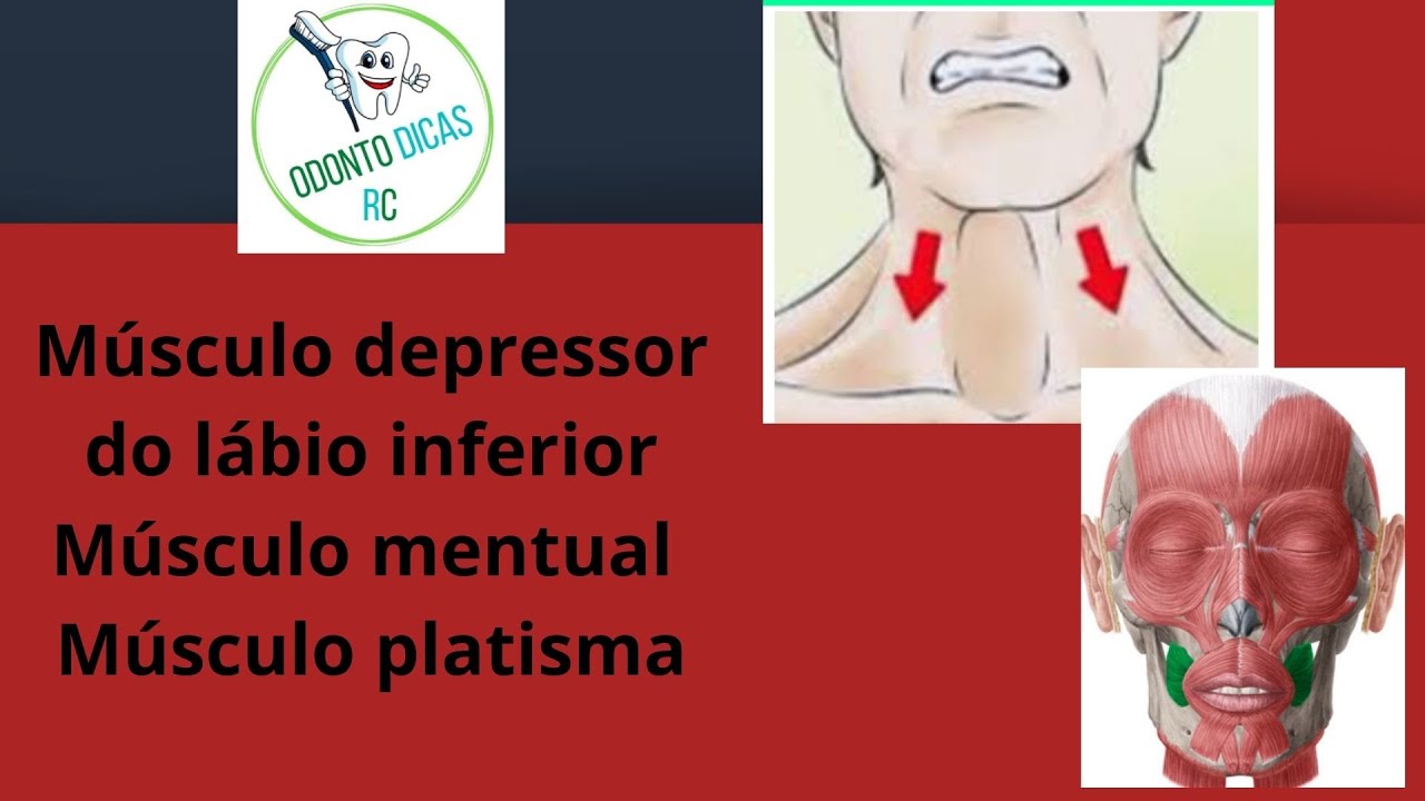 Músculos da mímica facial: depressor do lábio inferior, mentual e platisma. Odonto Dicas RC