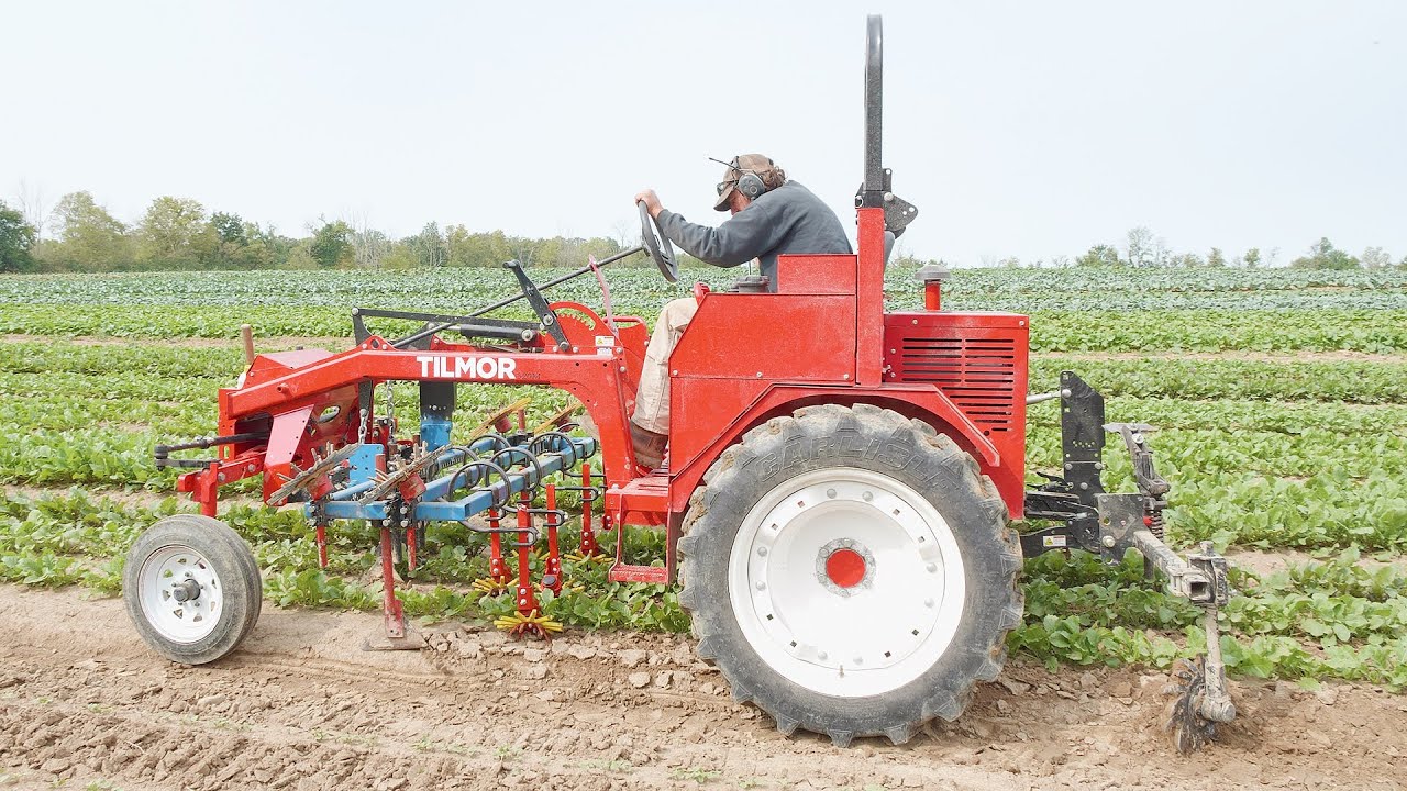 Tilmor Finger Weeders In Action
