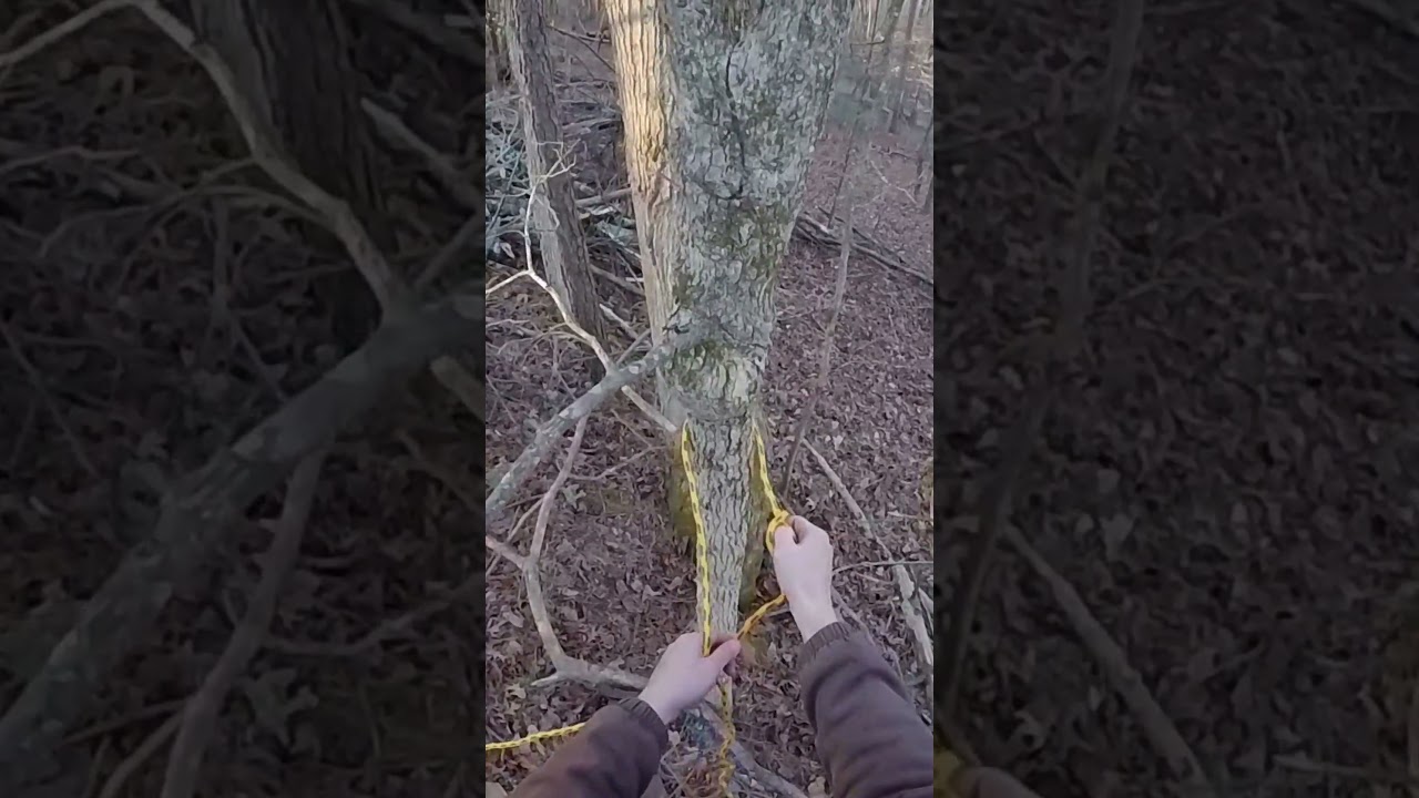 How to Tie a Running Bowline &ndash; Easy Knot #tutorial  #treework #knots #knottutorial #tree