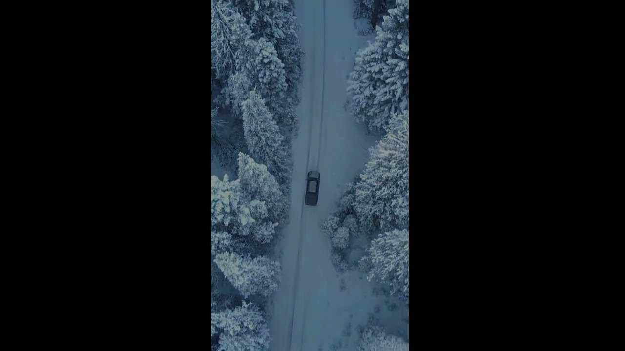 Finn Key - Wonderland (Original) / Lyrics&Melody/Chords by me, played by AI