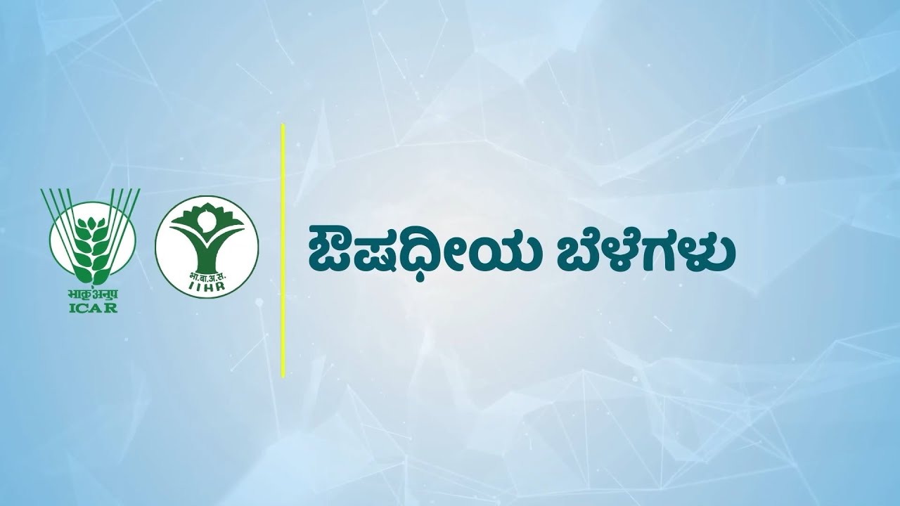 ಔಷಧೀಯ ಬೆಳೆಗಳು | औषधीय फसलें | Medicinal Plants  - ICAR-IIHR
