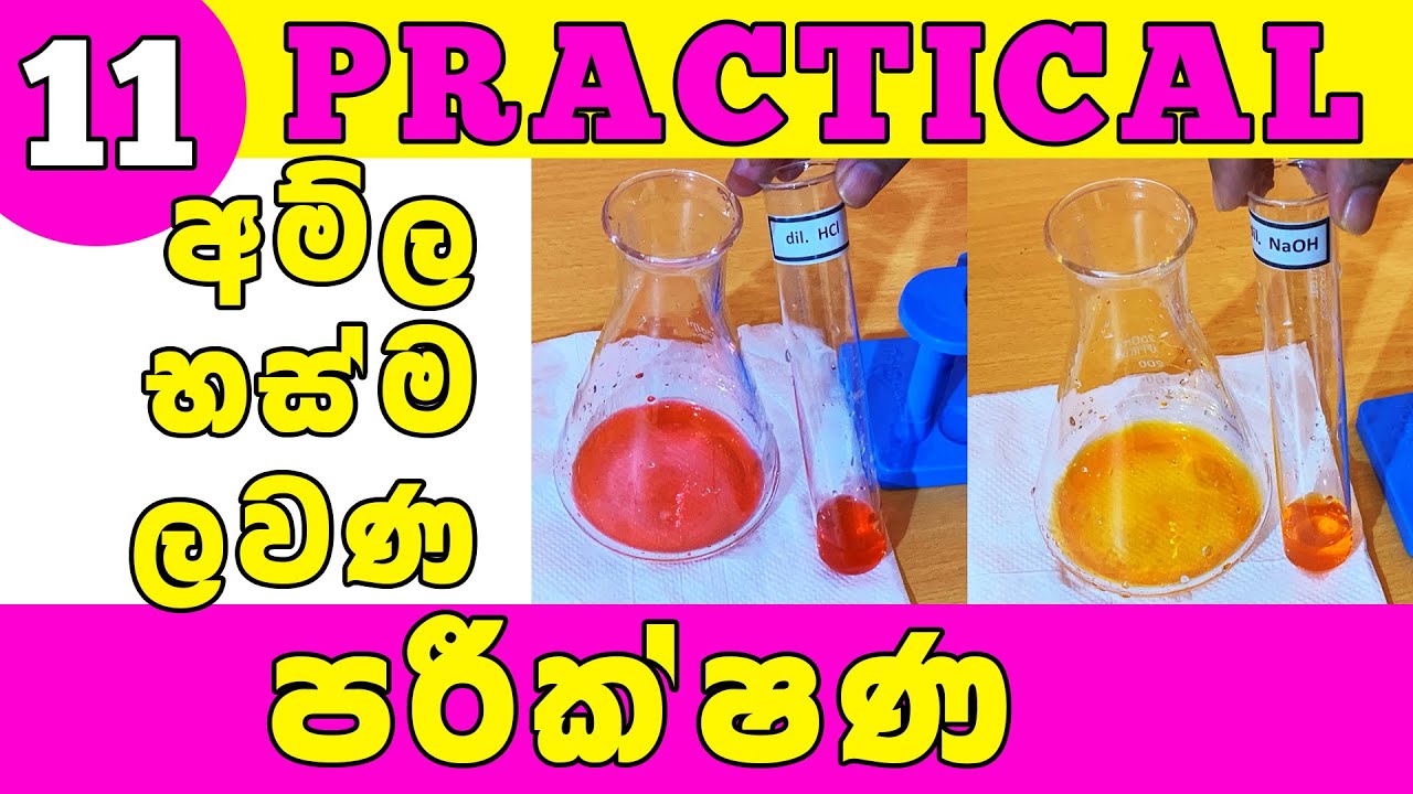 O/L Science Sinhala | Grade 11 Science Unit 7| Acid Base Salt Practical | අම්ල භස්ම ලවණ පරීක්ෂණ සමග