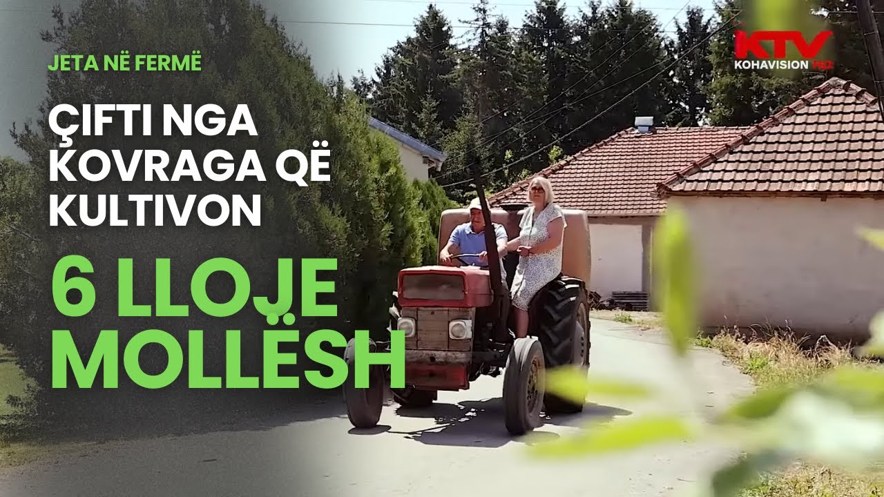 Çifti nga Kovraga që kultivon gjashtë lloje mollash -  Jeta në fermë,  Episodi 4