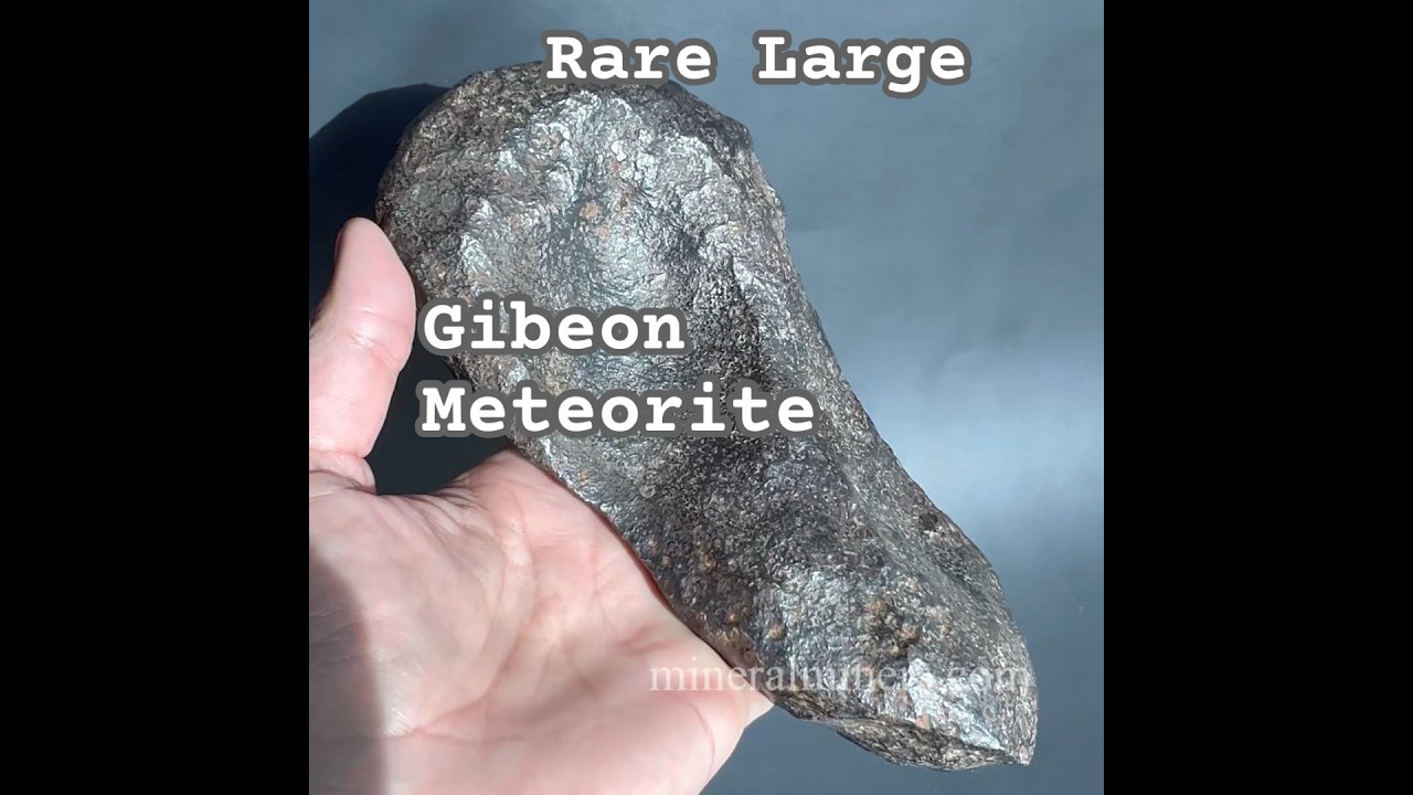 Rare Large Gibeon Meteorite #meteorite #collectormeteorite #coolrock #extraterrestrialrock #gibeon