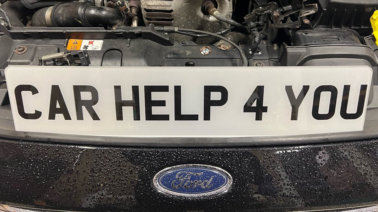 Срабатывает сигнализация автомобиля Ford Fiesta. Автомобиль показывает открытый вид. Срабатывает ...