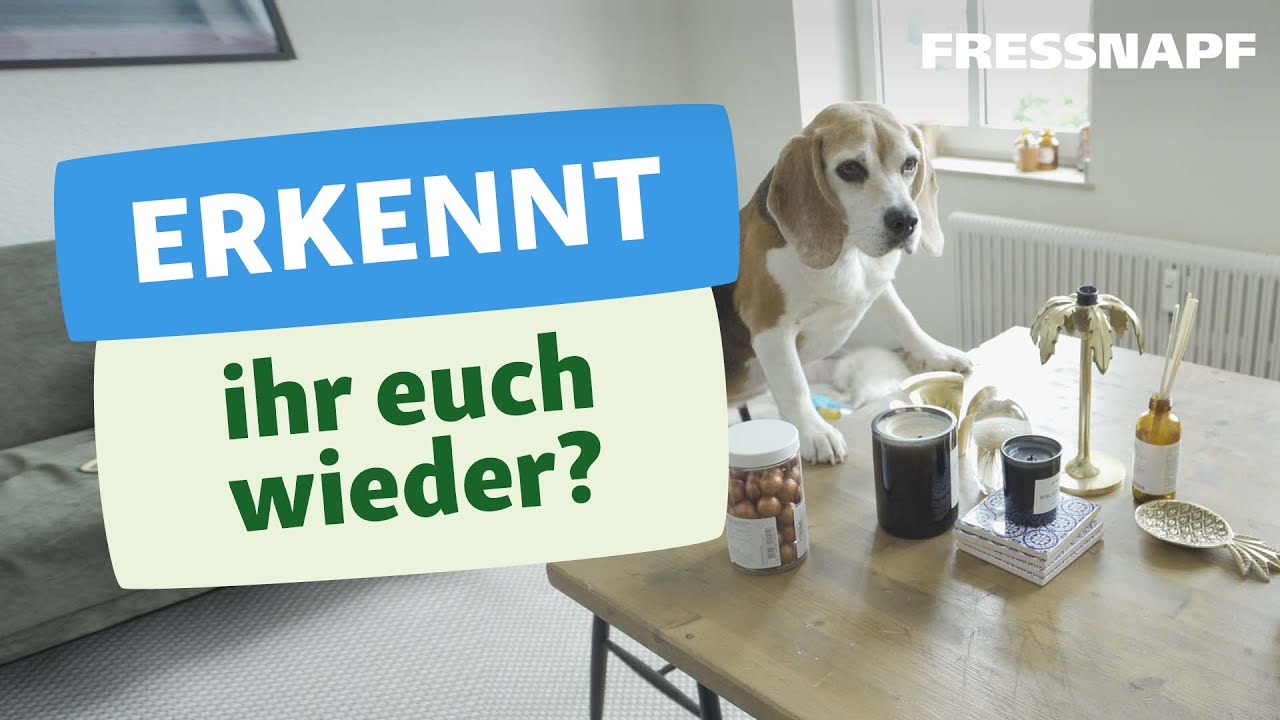 7 typische Situationen, die nur Hundebesitzer kennen!