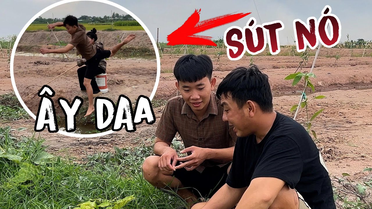 Màn Troll Thốn Lên Tới Não Của Bọn Ác Dành Cho Ông Hải