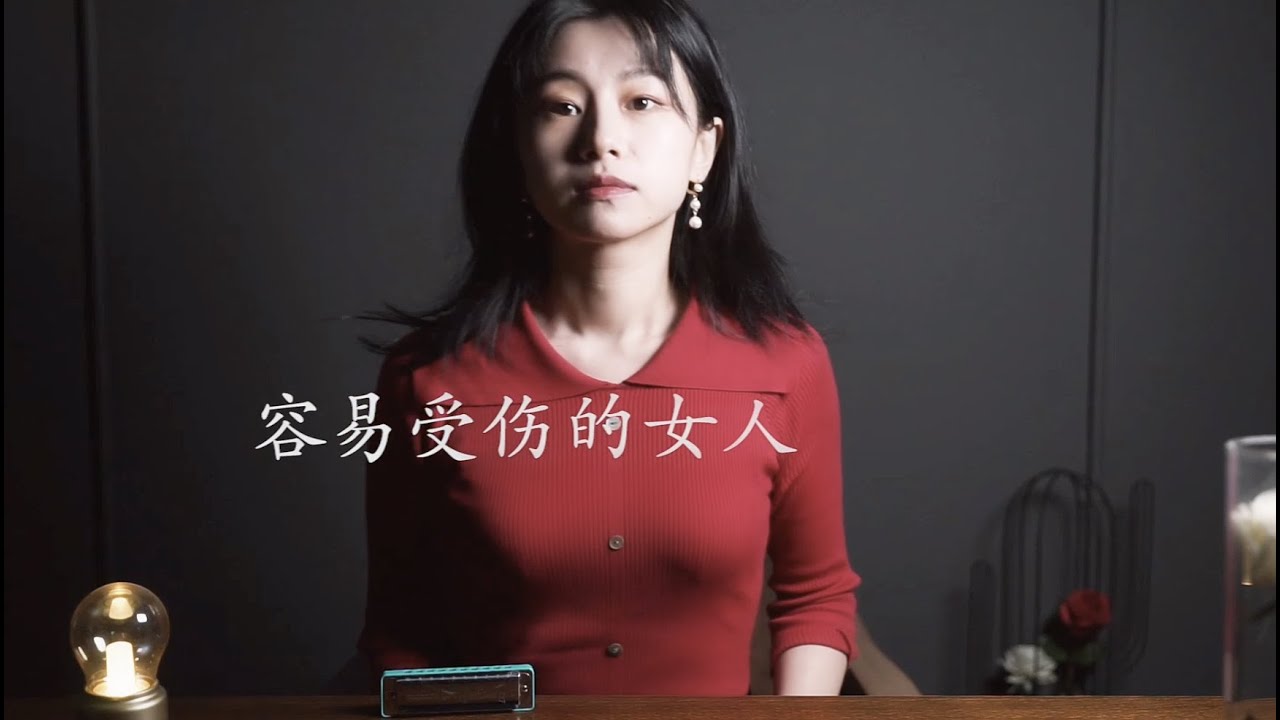 【harmonica】口琴演奏《一个容易受伤的女人》王菲经典（bluesharp paddy）中岛美雪《ルージュ》（园园sonoko）