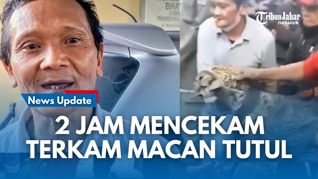SOSOK Ahmad Penjinak Macan Tutul Selama 2 Jam Pertaruhkan Nyawa Yang Berkeliaran di Permukiman