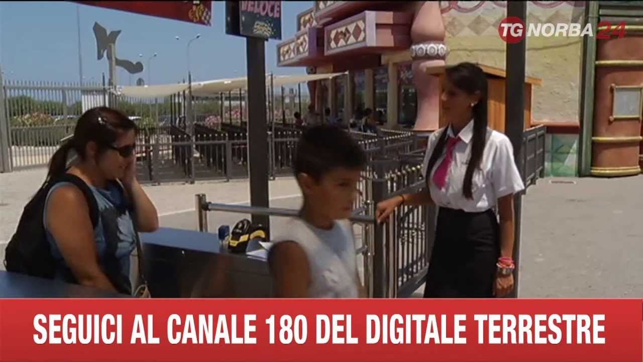 MOLFETTA MIRAGICA PARCO DIVERTIMENTI CERCASI PERSONALE