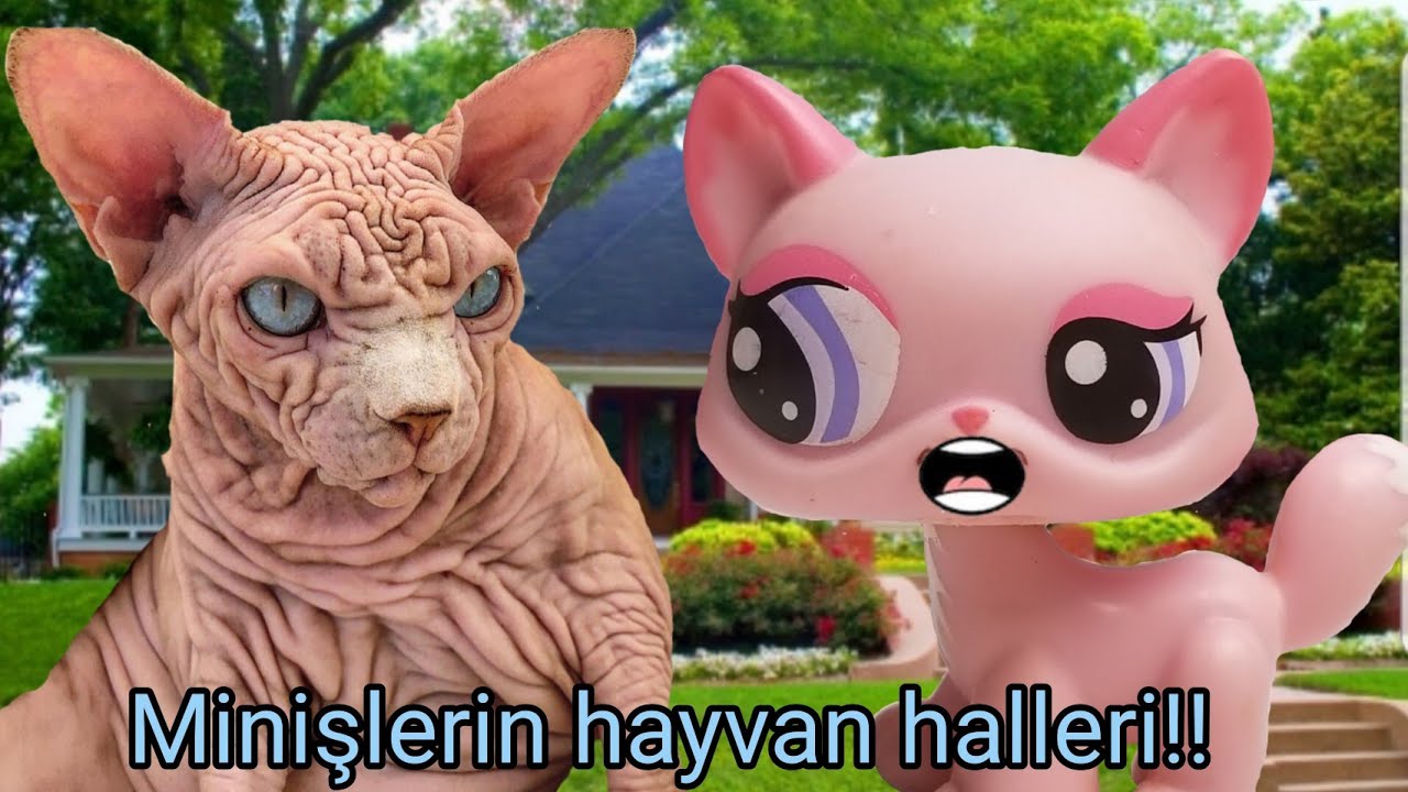 Minişlerin Hayvan Halleri!!! -3