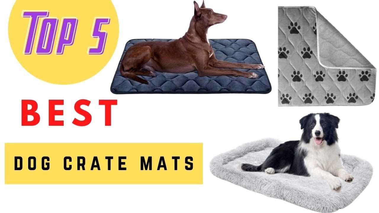 The Best Dog Crate Mats Review 2021