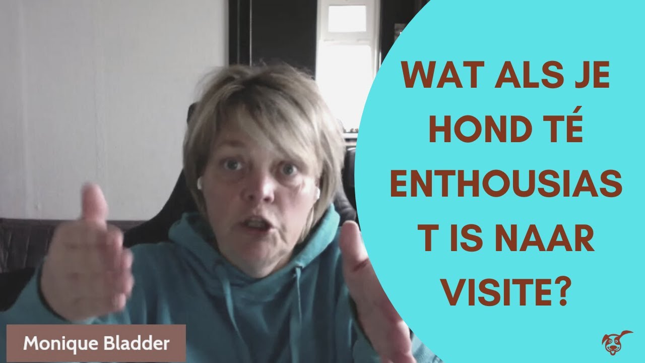 Live: Als je hond té enthousiast is naar visite
