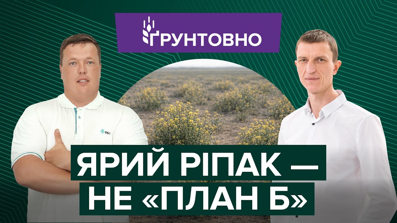 Технологія ярого ріпаку: стратегічна культура, а не «підстраховка»