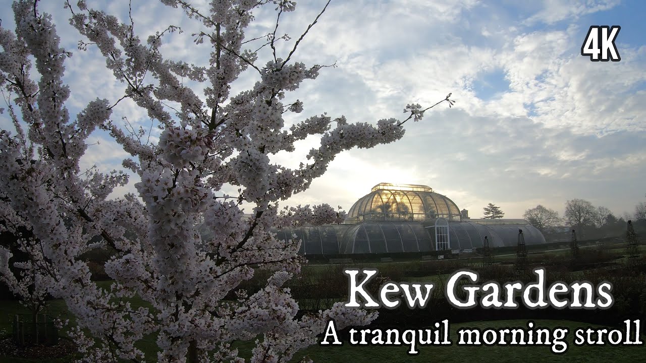 Kew Gardens - A tranquil morning stroll (4K)