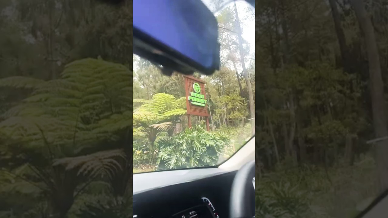 Wood Forest Kavling 65!! 