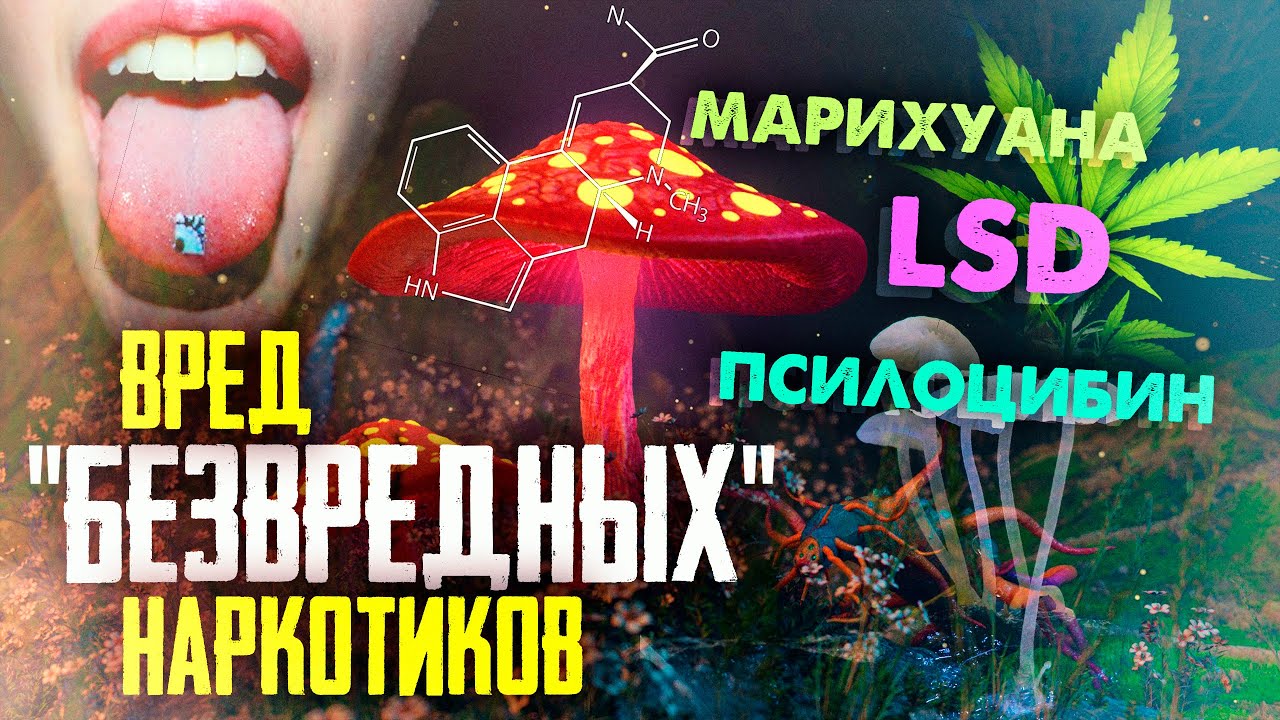 Вред &laquo;безвредных&raquo; наркотиков / ЛСД / Псилоцибин / Марихуана