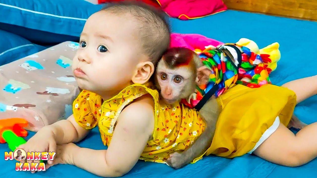 Collection of super cute moments of Monkey Kaka and Baby Diem